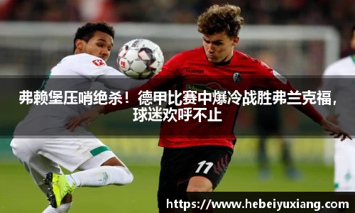 芒果体育官网